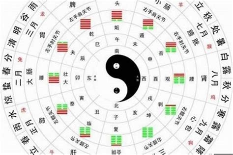 命格是什么|【命理】格局的判断——八字命理的核心